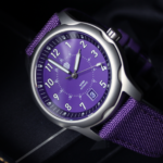 Cosmos Purple Companion Cosmos Purple - Companion